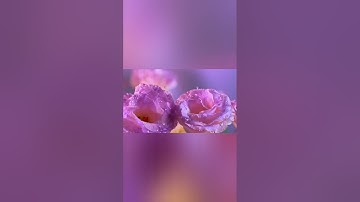 تلاوة تريح النفس القارئ محمد الفقيه