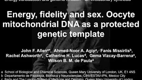 Why are there two sexes?