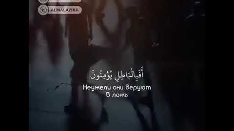 ♥قران كريم تلاوات جميله وخاشعه القارى عبدالرحمن مسعد ♥حالات واتساب تلاوات قصيره