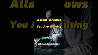 Allah Knows You Are Waiting😱#shorts #islamicshorts #islamic #shortsfeed #allah #islam