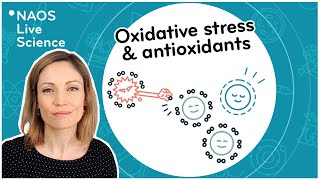 Oxidative stress and antioxidants