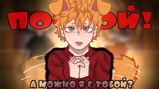 ×meme× [Постой, а можно я с тобой?] 💛AtsuHina 🧡//Haikyuu// AU Inarizaki Hinata AU (gacha)