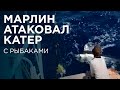 Марлин атаковал катер с рыбаками, но благодаря опытному шкиперу обошлось без экстрима...