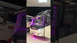 Download Lagu terminal purworejo yg baru#murnijaya MP3