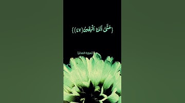 سورة المدثر الآية ٣٨ الى ٥١ بصوت الشيخ ماهر المعيقلي #القران_الكريم_في_الصباح