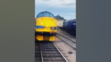 37501 edit #train #class37 #edit #fyp