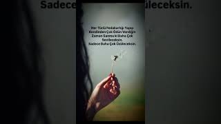 Sevgi Uğruna Tükenen Kalpler...