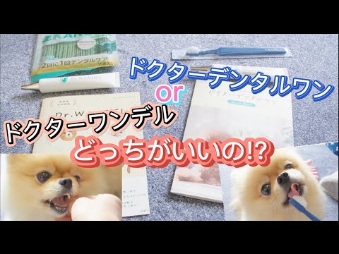 ドクターデンタルワン デンタルワン ワンデル 2本セット 今話題の犬の歯磨きセットを両方とも使ってみた❣️ドクター
