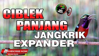 KONIN GACOR FULL ISIAN CIBLEK NGEBREN VARIASI JANGKRIK ZIPER EXPANDER COCOK UNTUK MASTERAN KOLIBRI !