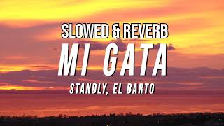 Standly - Mi Gata ( Slowed & Reverb ) | EL Barto ❤✨