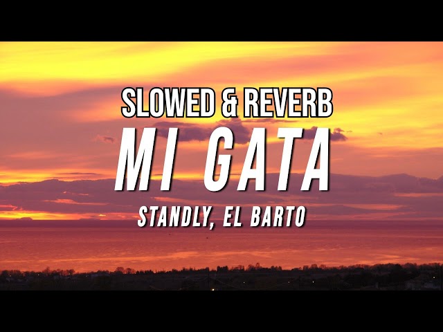 Standly - Mi Gata ( Slowed u0026 Reverb ) | EL Barto ❤✨ class=