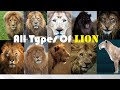 All Types Of Lion - Types Of Living & Extinct Lion in The World - Living & Extinct Lion Subspecies