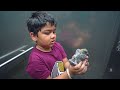 Rescue a pigeon  chiku malik vlogs