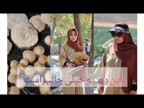 این ویدیو را از دست ندهید دانه های گندم و عدس به سنگ تبدیل شده