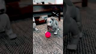 aibo Orlando 2023. #sonyaiborobot #aibo #sony #sonyaibo #techtoy #robotpet #sonyrobot #robotdog