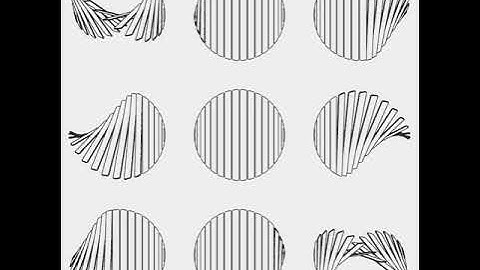 Split circle that rotate. Draw by openFrameworks