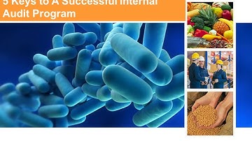 Top 5 Ways to Improve Your Internal Audit Program