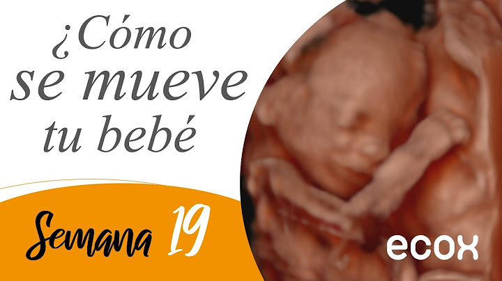 Cómo se mueve tu bebé en la semana 19 de embarazo - Ecox