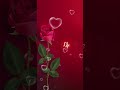 #happyanniversary   #rose #shorts  #viralshorts wedding anniversary songs