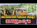 Heavy Rain and Strong Winds Wreak Havoc in Palamuru| Trees and Electric Poles Collapse | ZEE News