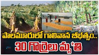 Heavy Rain and Strong Winds Wreak Havoc in  Palamuru| Trees and Electric Poles Collapse | ZEE News