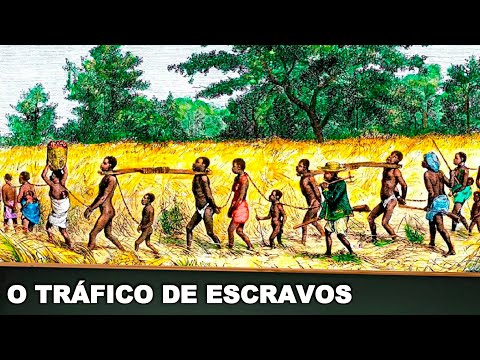 Vídeo: Qual era o propósito do comércio de escravos?
