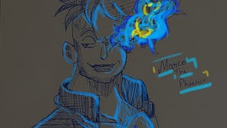 Drawing | Marco the phoenix | One piece