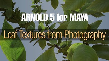 Leaf Material from Photography