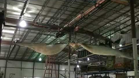 HAUNTEDPROPS.COM HPDINO101- Flying Pterodactyl