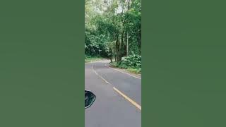 perjalanan pulang ke jember....dari banyuwangi,pas memasuki gunung gumitir