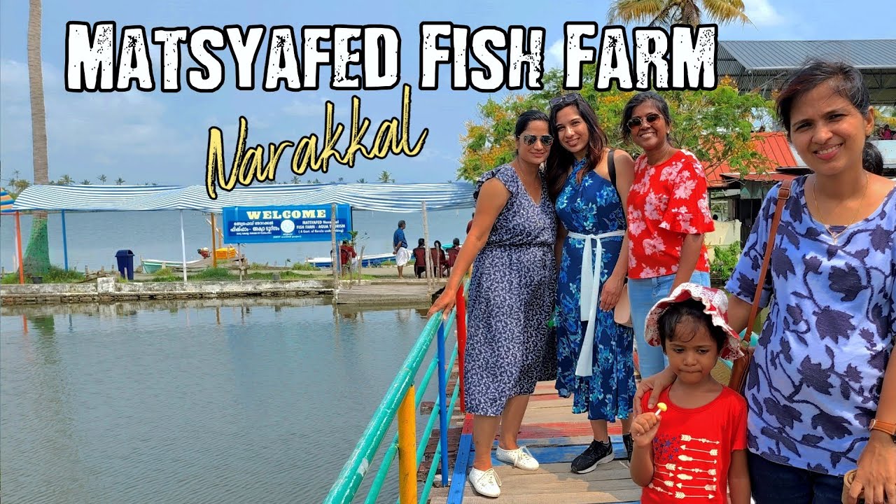 Matsyafed Fish Farm Njarakkal Aqua tourism YouTube