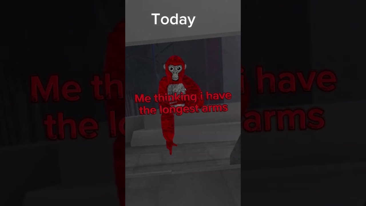 H4kpy Has Some Long Ahh Arms Gorillatag Longarms