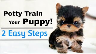 How to Potty Train A Puppy (2 EASY STEPS)