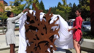 Symbiosis Unveiling | First Capital Realty Inc. Public Sculpture Competition