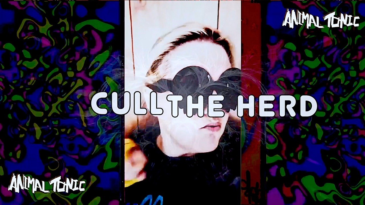 New Indie Rock Band Animal Tonic Cull The Herd Lyric Video #indiemusic