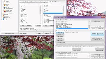 Zoom Player Smart Play Profile - Filter Bug?