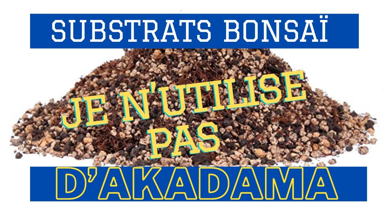 le top des substrats pour nos bonsai 