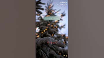 سورة:الروم 🌹 القارئ: فارس عباد 🤍