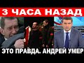 Хабенский сообщил о смерти... В Петербурге прощаются со звездой &quot;Театра На Литейном&quot;