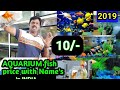 New Aquarium fish stock Update | Aquarium Fish Price in INDIA | Fish Aquarium decoration ideas MILAN