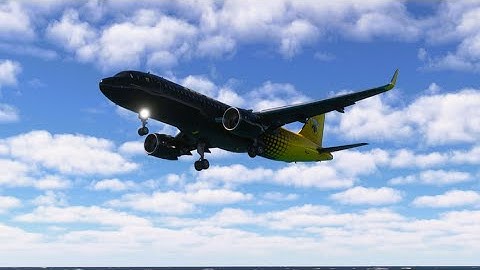 uncontrolled landing of planes at airports is dangerous ep197