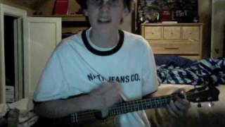 Video thumbnail of "Lollipop- Lil Wayne on Ukulele Cover"