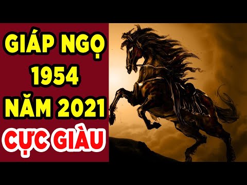 Video: Tuổi Giáp Ngọ 2019 có may mắn không?