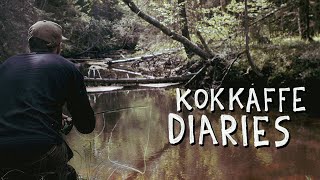 Kokkaffe Diaries  Trout or Trouts