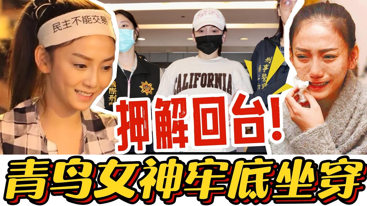 “太阳花女神”刘乔安押解回台！从女神到被人唾弃，她到底经历了什么？#刘乔安 #太阳花女神 #台湾新闻 #遣返 #现世报 #青鸟行动 #政治真相 ...