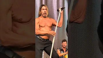 Red Hot Chili Peppers Support Act #Iggy Pop Front Of Stage 06/26/2023 Mannheim live concert