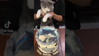 Azfar Heri Sambut Birthday Kelvin