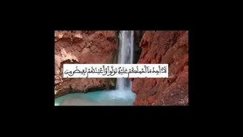 ما تيسر من سورة التوبة الشيخ عمر القزابري