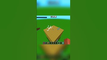 🛡️ Block You Can’t Break! #Minecraft #Shorts