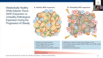 Adipose tissue as endocrine organ